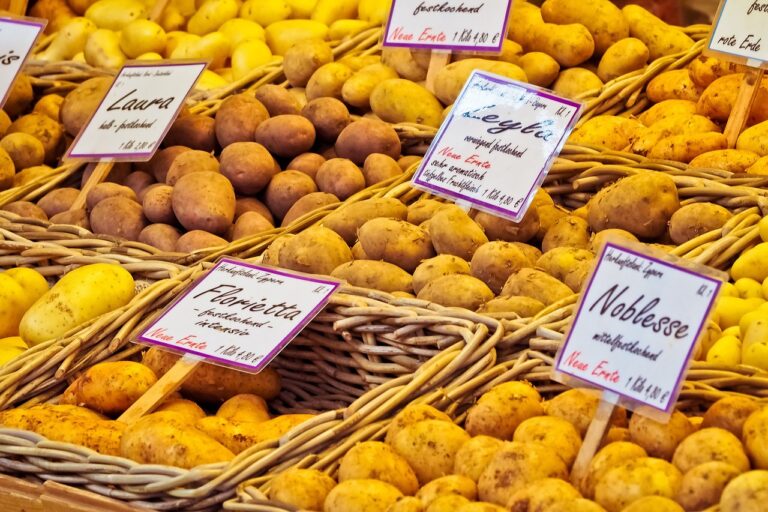 découvrez l'importance des éthiques de vente pour bâtir des relations de confiance avec vos clients, favoriser une culture d'intégrité au sein de votre équipe et assurer le succès durable de votre entreprise.