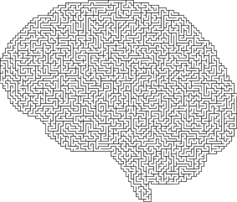 découvrez ce que sont les biais cognitifs, comment ils influencent nos décisions et comportements au quotidien, et apprenez à les identifier pour mieux les éviter.